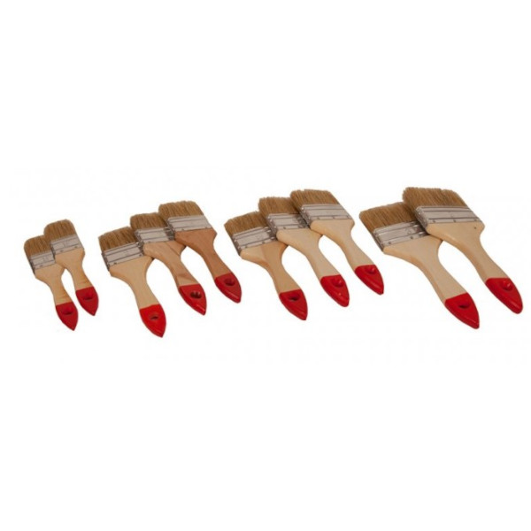 10 DELNI SET COPICEV TOPDOM