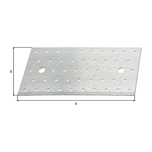 PERFORIRANA PLOSCA 200x100x2 TOPDOM1