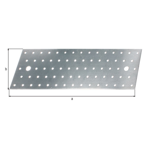 PERFORIRANA PLOSCA 300x100 TOPDOM1