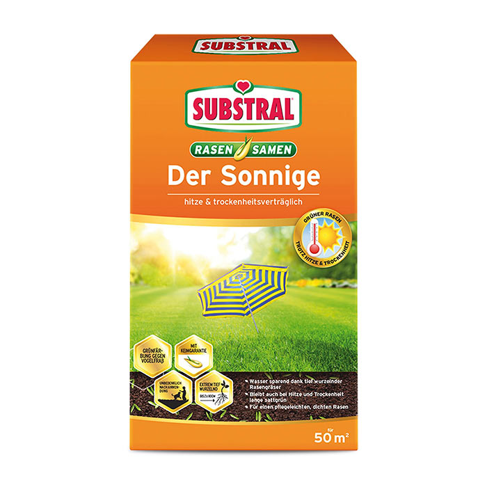 TRAVA MESANICA SUBSTRAL SONCE