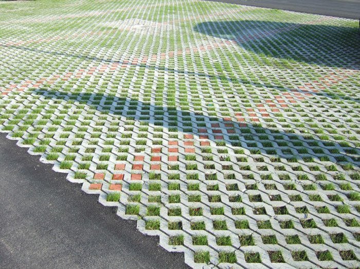 TRAVNA PLOSCA OBLAK SIVA TOPDOM 2