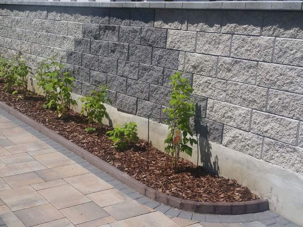 ZIDAK LOMLJEN JARC TOPDOM