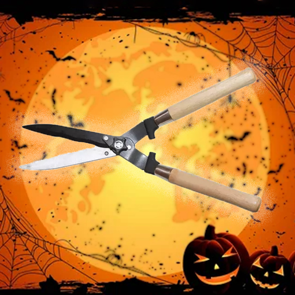 SKARJE ZA ZIVO MEJO eobnova haloween