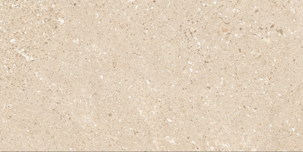 GRES PLOSCICA GEO ASTRA ARENA R10 30X60