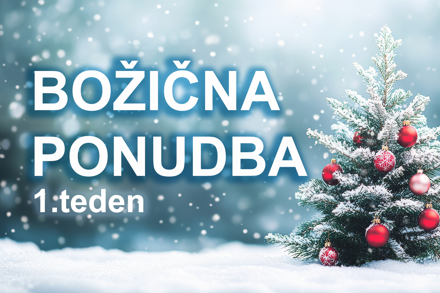 Bozicna ponudba eobnova banner – 1.teden  1