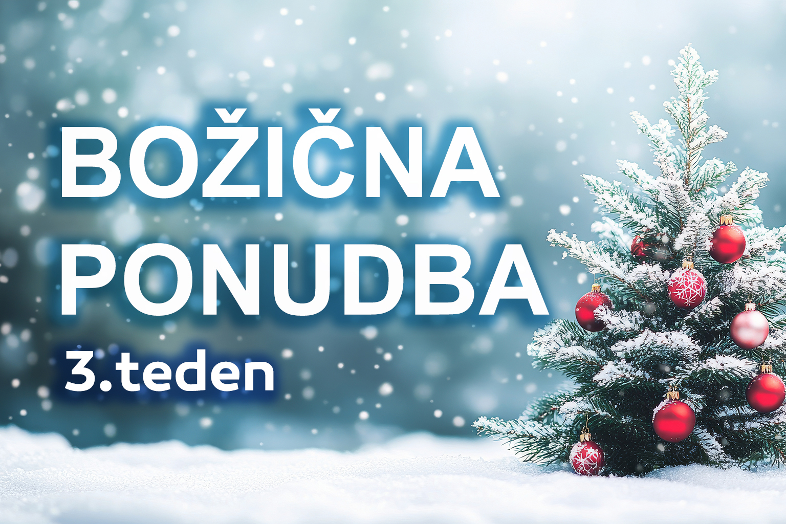 Bozicna ponudba eobnova banner – 3.teden 
